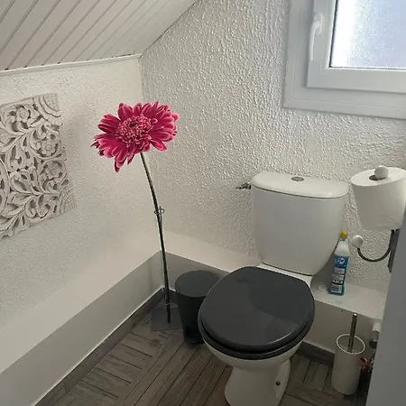 Maison Centre Prázdninový dům *