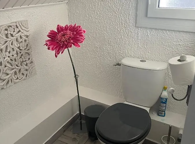 Maison Centre Casa vacanze *